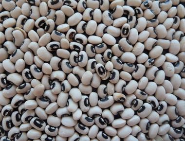 What are black eyed peas beans