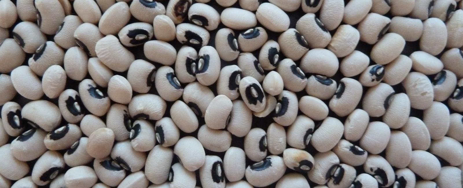 What are black eyed peas beans