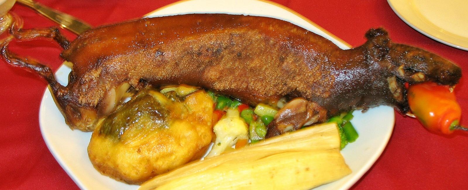 The traditional peruvian dish cuy is made with what animal guinea pig