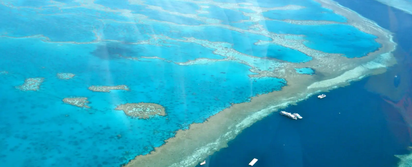 The great barrier reef is at least 500 000 years old since coral reefs have existed for nearly 500 million years this reef is considered relatively young its development having started after that last ice age