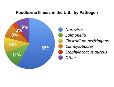 Each year 48 million people get sick from a foodborne illness 128 000 are hospitalized and 3 000 die