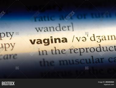 The word vagina comes from the latin meaning of sheath or scabbard used to protect swords