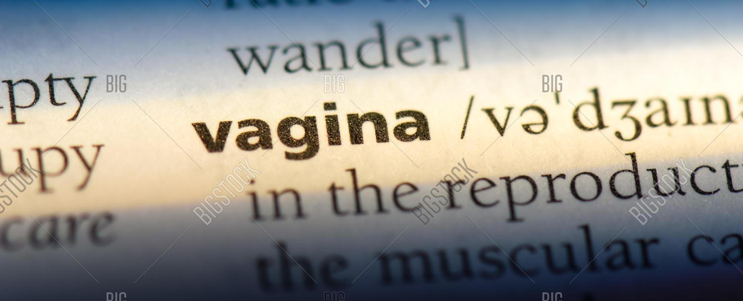 The word vagina comes from the latin meaning of sheath or scabbard used to protect swords
