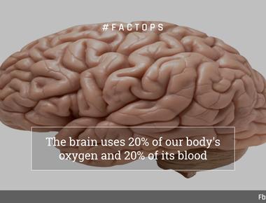 Your brain uses between 20 25 of the oxygen you breathe