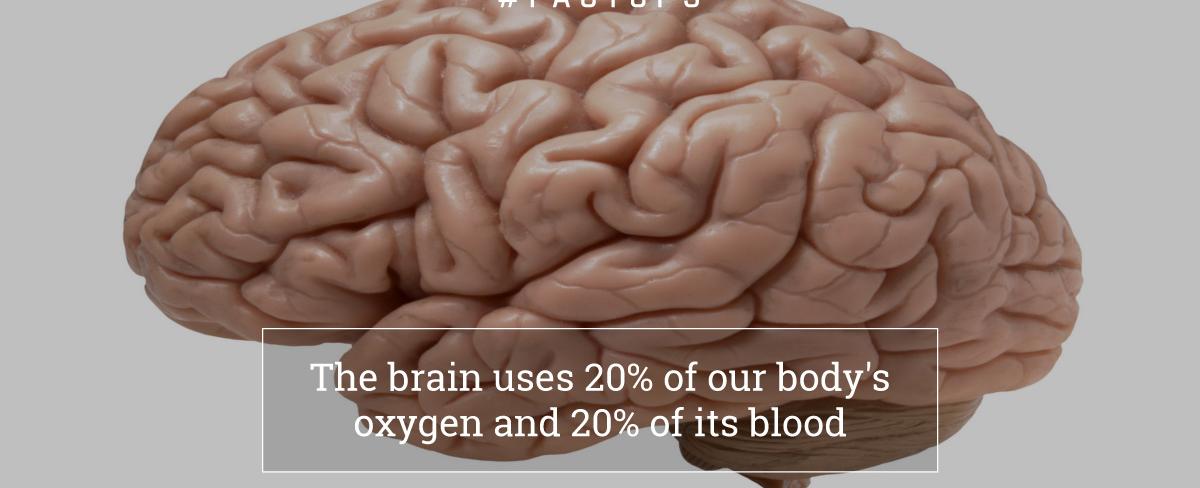 Your brain uses between 20 25 of the oxygen you breathe