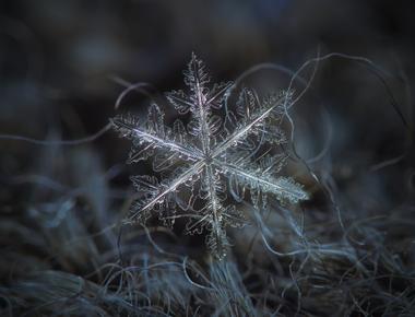 A snowflake can take up to an hour to fall from the cloud to the surface of the earth