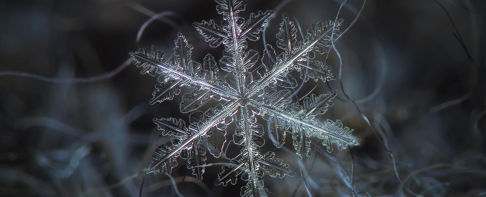 A snowflake can take up to an hour to fall from the cloud to the surface of the earth