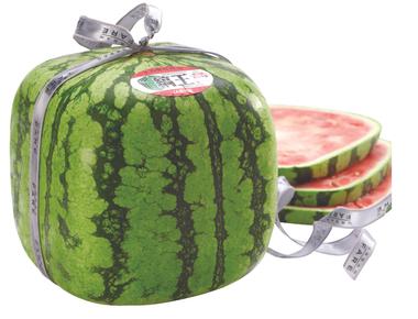 They have square watermelons in japan they stack better