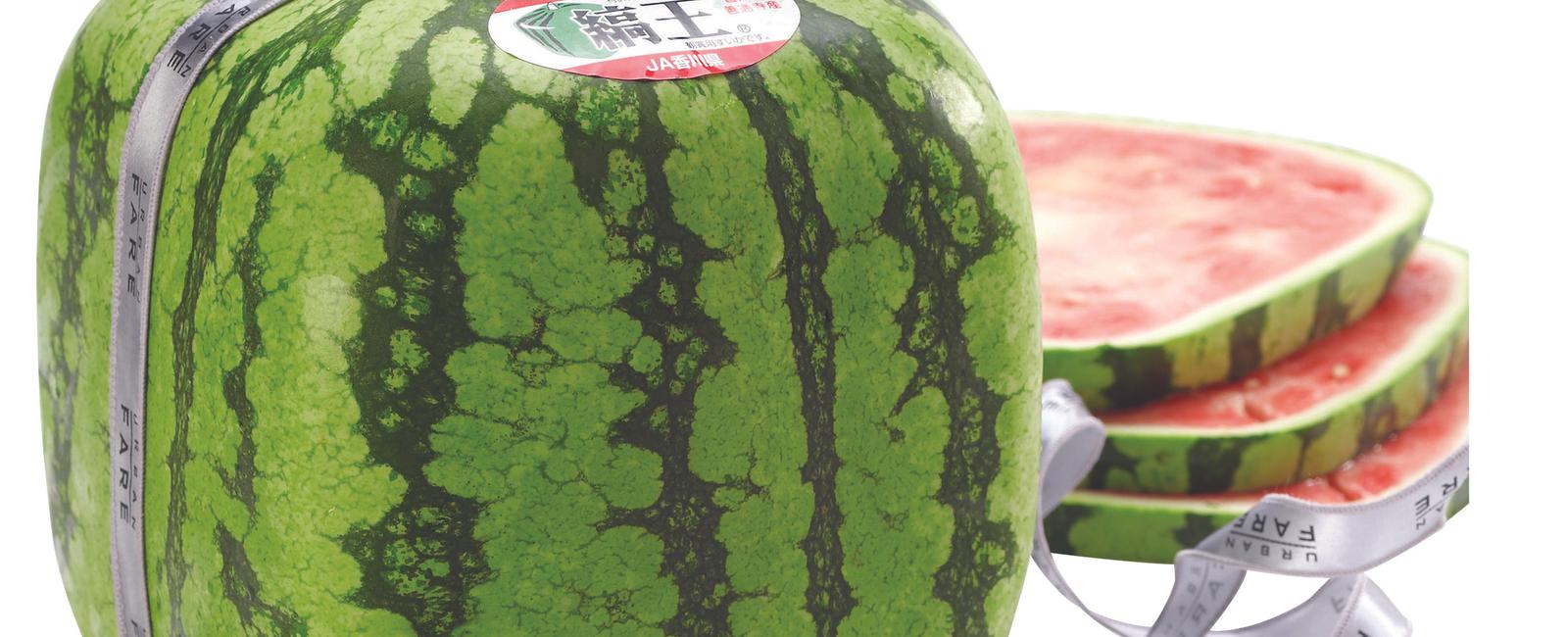 They have square watermelons in japan they stack better