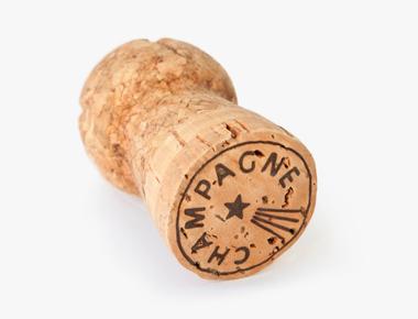 You are more likely to be killed by a champagne cork than by a poisonous spider