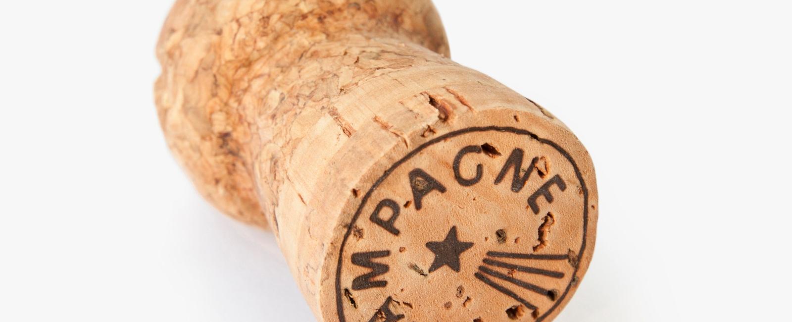 You are more likely to be killed by a champagne cork than by a poisonous spider