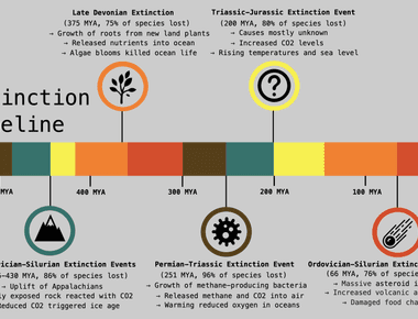 Extinctions are a natural chapter in the earth s evolutionary history scientists have found that over 99 of the 4 billion species that evolved on the planet are now extinct