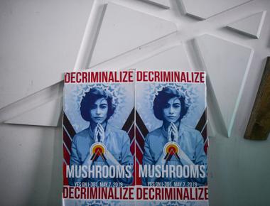 Denver is the first us city to decriminalize psilocybin magic mushrooms