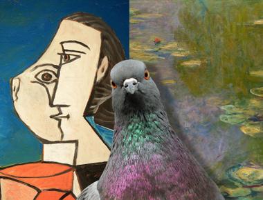 There was once a study that proved pigeons can tell the difference between a pablo picasso painting and a claude monet painting