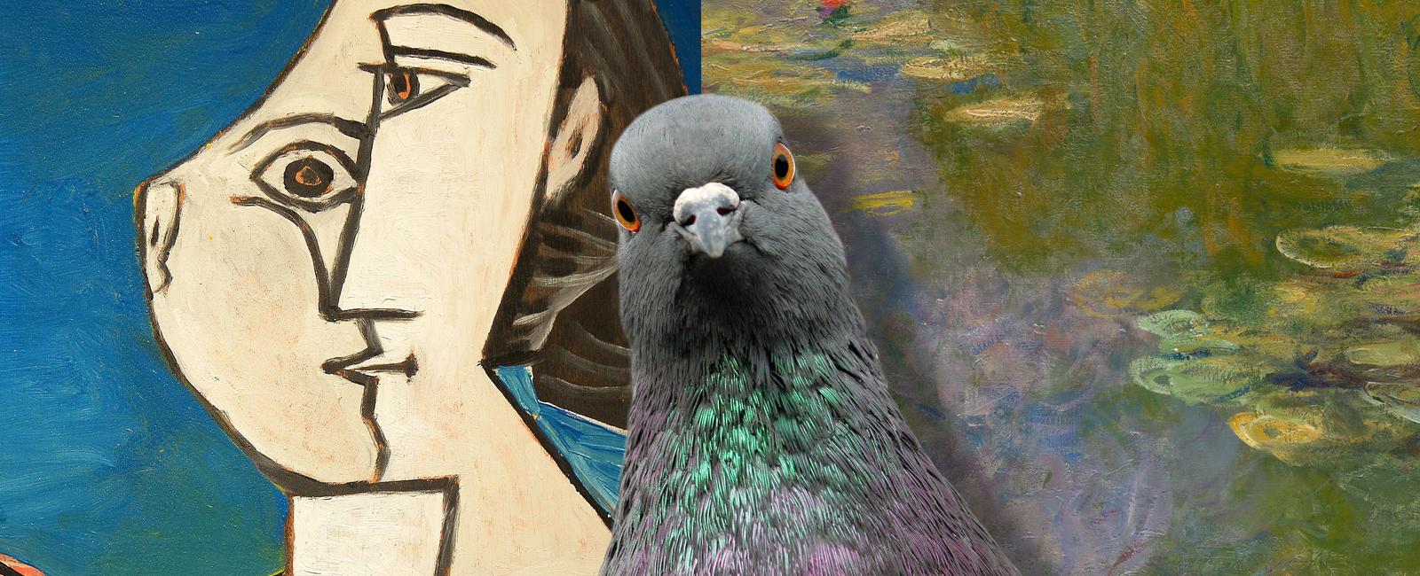 There was once a study that proved pigeons can tell the difference between a pablo picasso painting and a claude monet painting