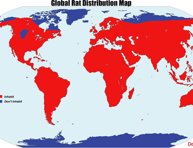 The province of alberta canada is completely free of rats