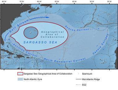 The sargasso sea is the only sea without coastlines as it is found in the middle of the northern atlantic ocean surrounded instead by four ocean currents