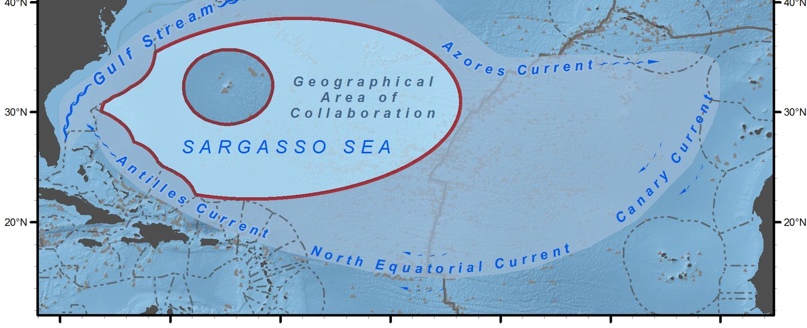 The sargasso sea is the only sea without coastlines as it is found in the middle of the northern atlantic ocean surrounded instead by four ocean currents