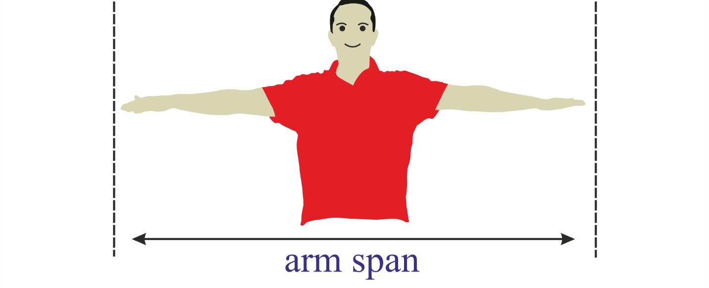 The width of your arm span stretched out is the same as the length of your whole body