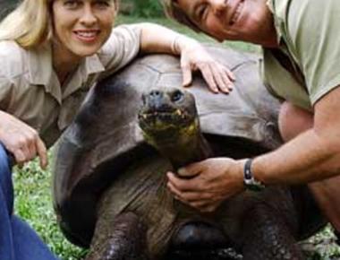 Harriet the tortoise who passed away in 2016 had met charles drawin in person