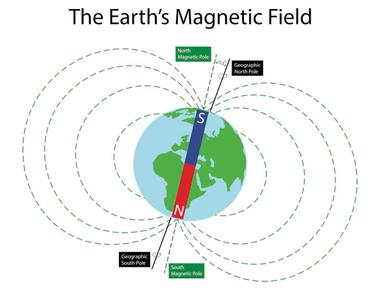 Evidence shows that animals can use the earth s magnetic field to perceive altitude direction or location including homing pigeons salmon and sea turtles the ability is called magnetoreception