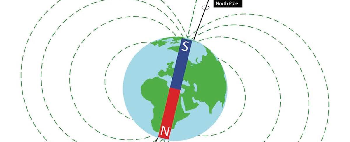 Evidence shows that animals can use the earth s magnetic field to perceive altitude direction or location including homing pigeons salmon and sea turtles the ability is called magnetoreception