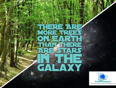 There are more trees on earth than there are stars in the milky way galaxy