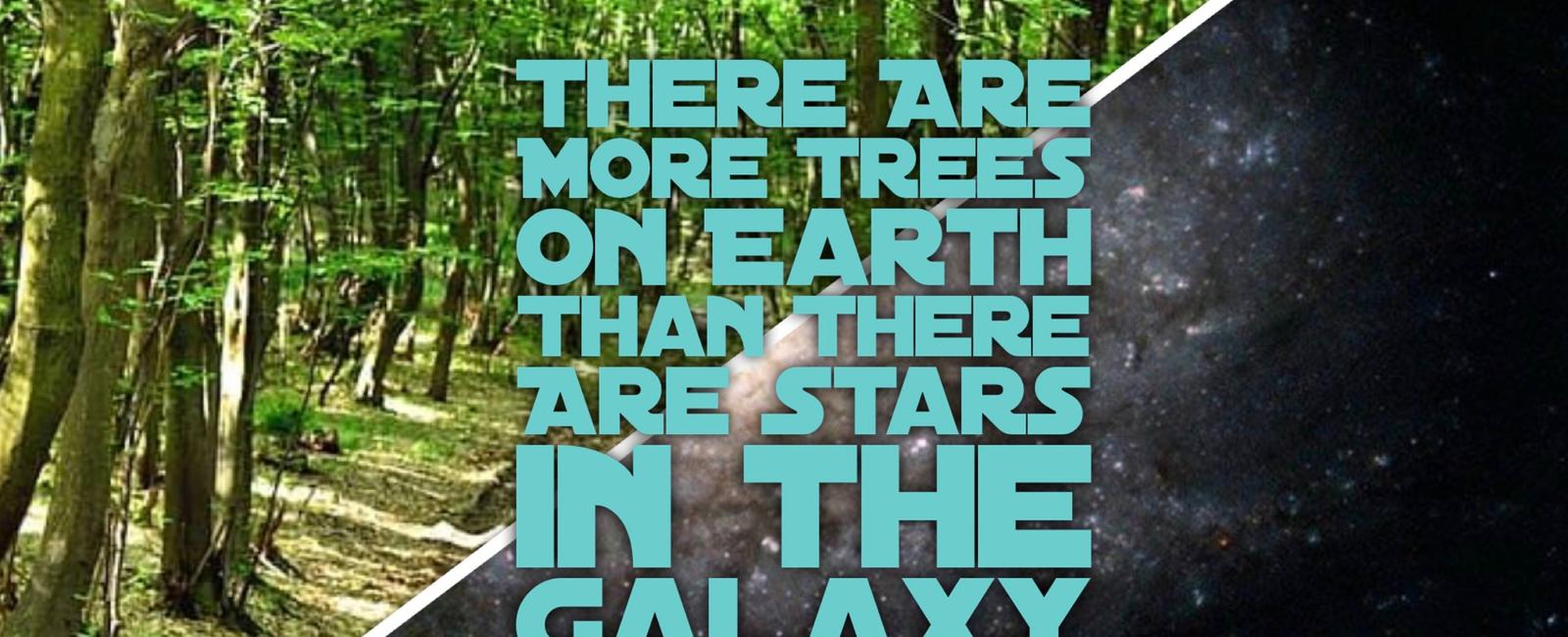 There are more trees on earth than there are stars in the milky way galaxy