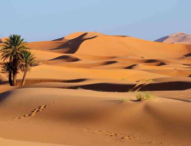 In which desert was there no rain for 10 years sahara