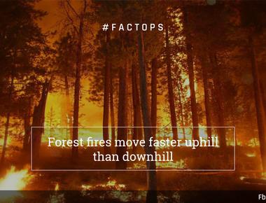 Fire usually moves faster uphill than downhill