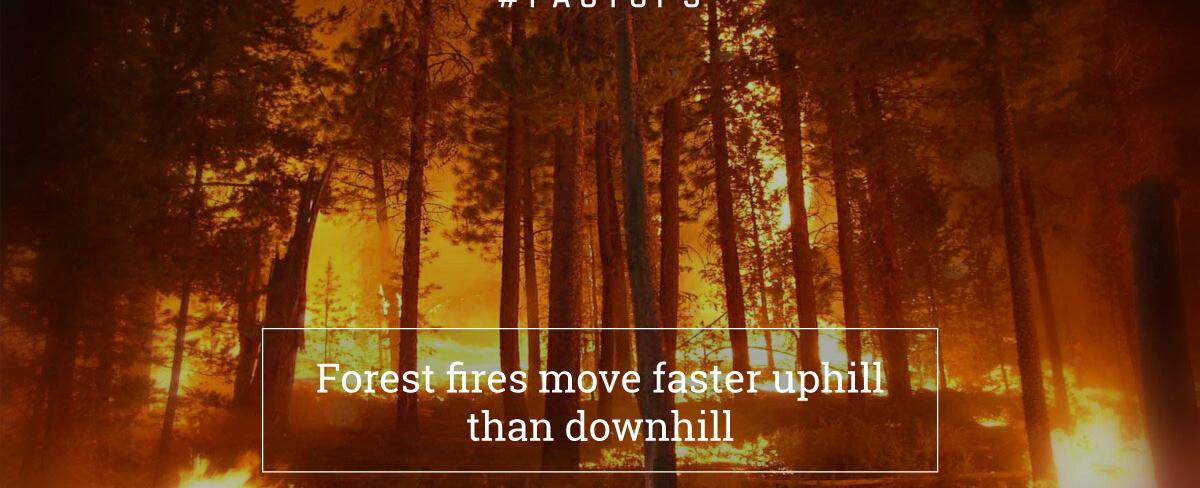 Fire usually moves faster uphill than downhill