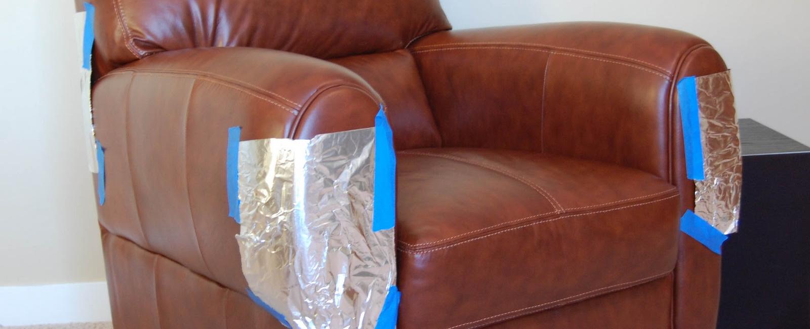 Protect your furniture from your cat s claws with aluminum foil