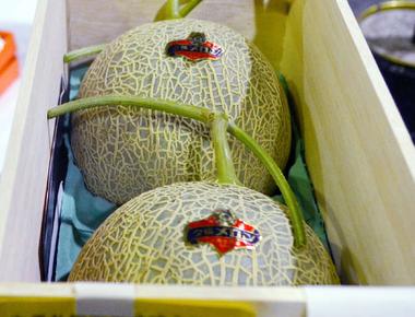 Japanese yubari cantaloupes are the most expensive fruit in the world two melons once sold at auction for 23 500