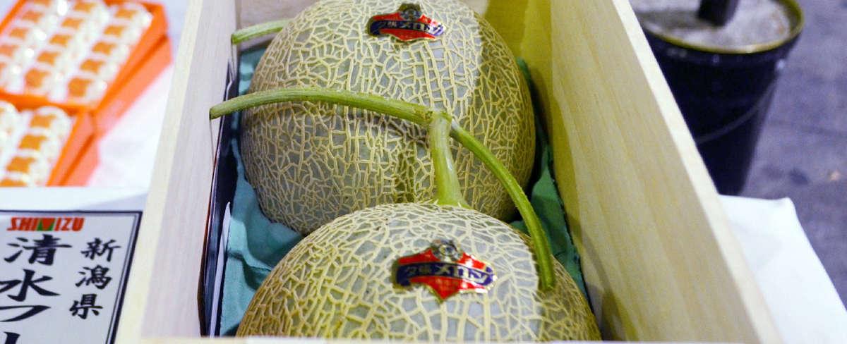Japanese yubari cantaloupes are the most expensive fruit in the world two melons once sold at auction for 23 500