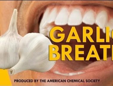 Causes bad breath and frightens blood suckers garlic