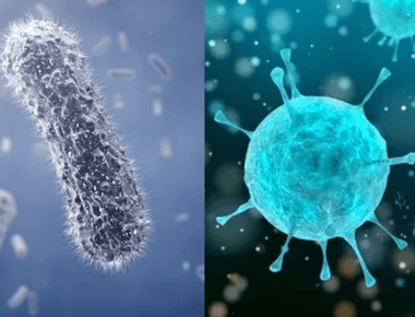 Viruses are usually around 100 times smaller than bacteria