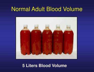 A woman has approximately 4 5 liters of blood in her body while men have 5 6 liters