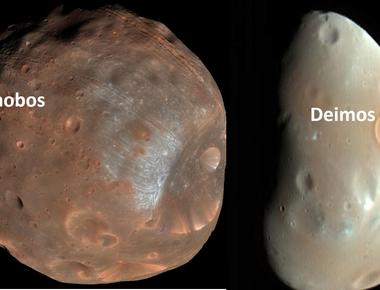 Mars has two satellite moons and no rings one of its moons phobos is expected to collide with mars in the future which could create a ring system