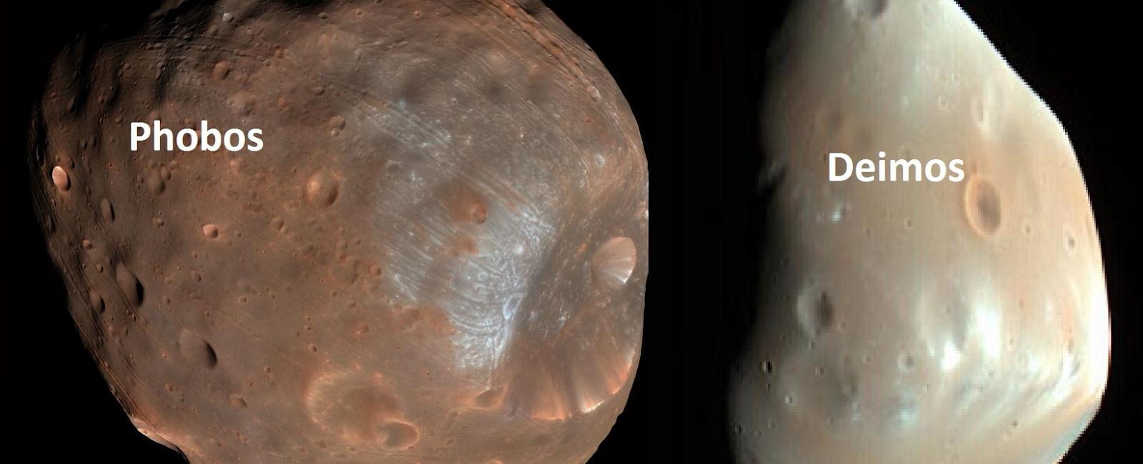 Mars has two satellite moons and no rings one of its moons phobos is expected to collide with mars in the future which could create a ring system