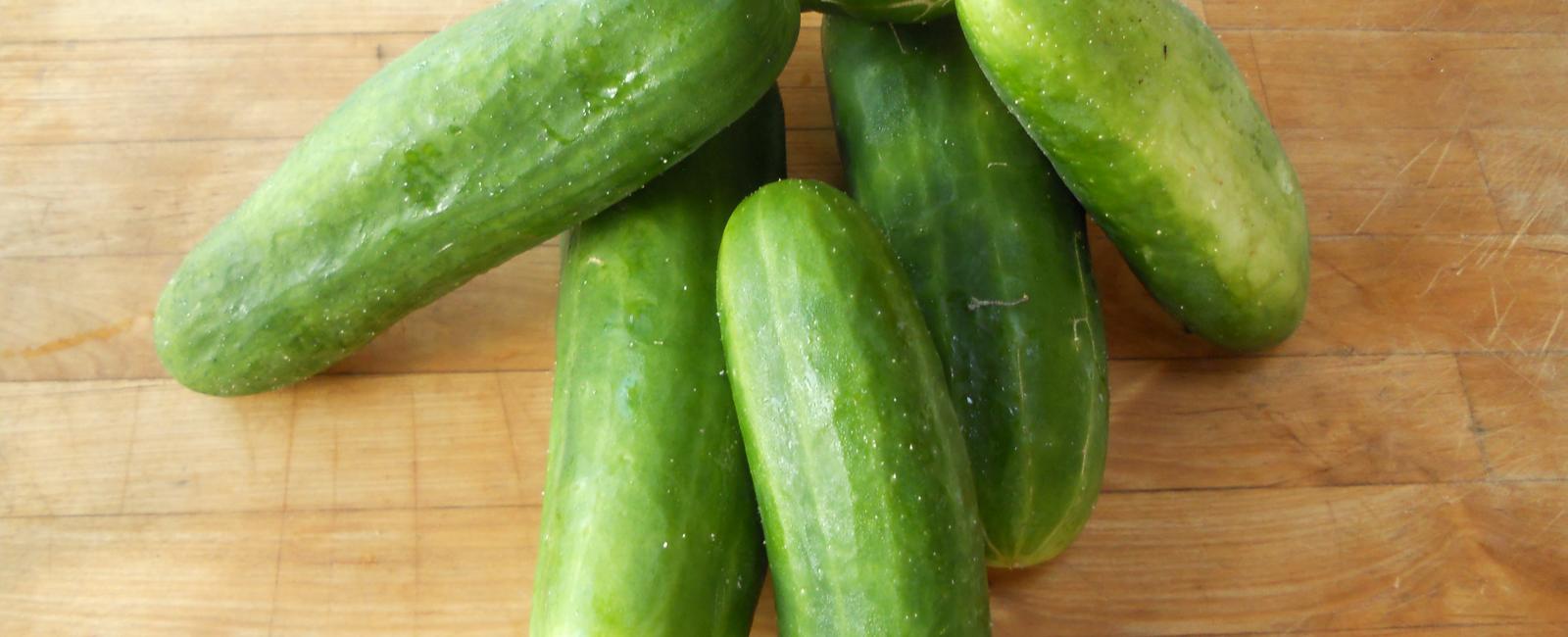 A cucumber is a fruit