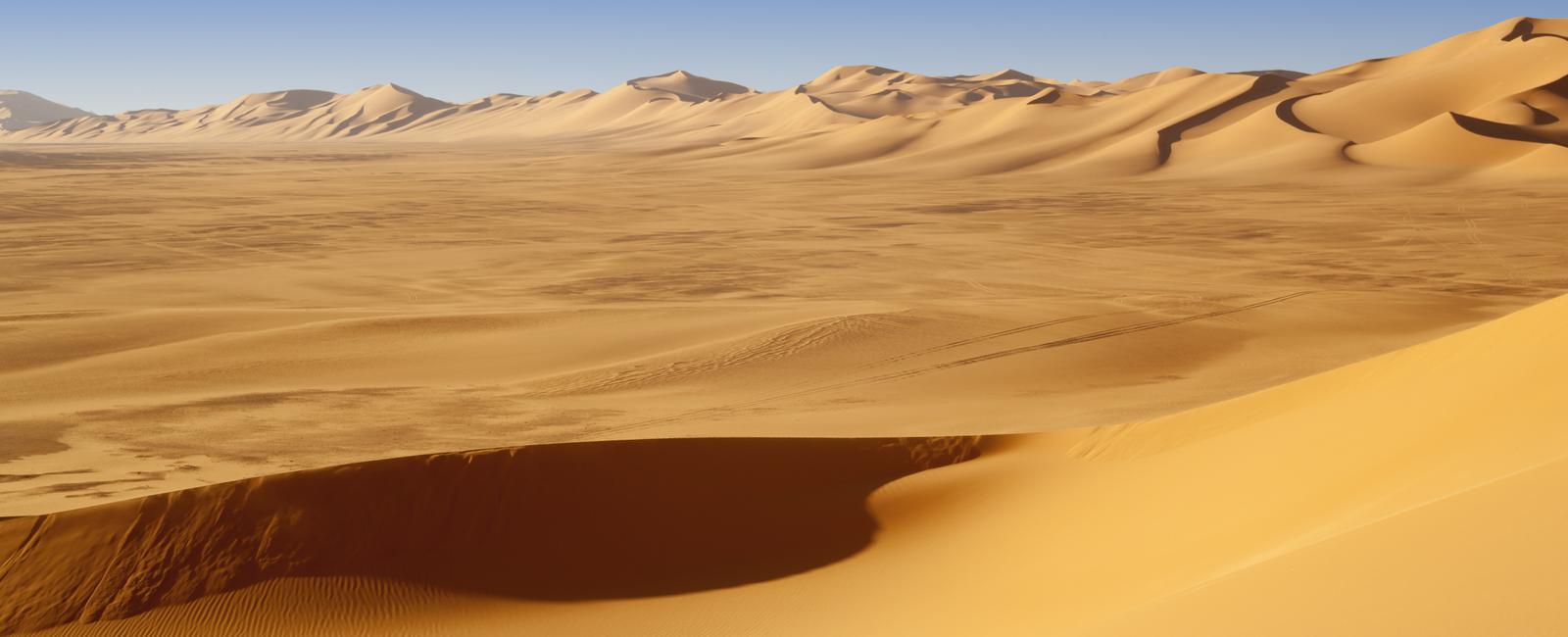 Only a quarter of the sahara desert is sandy