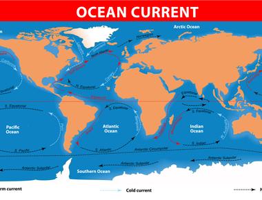 The pacific ocean has double the area and over double the water volume of the atlantic ocean