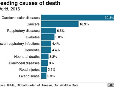 In 2007 heart disease was the leading cause of death in the usa