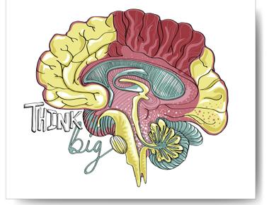 The brain uses 20 of the blood and oxygen in your body even though it only takes up 2 of your body mass