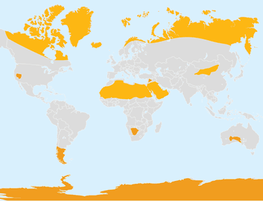 There are more than hot deserts on the earth cold deserts or polar deserts are where there is also little total rainfall you can find them in the planet s polar regions including antarctica and the arctic