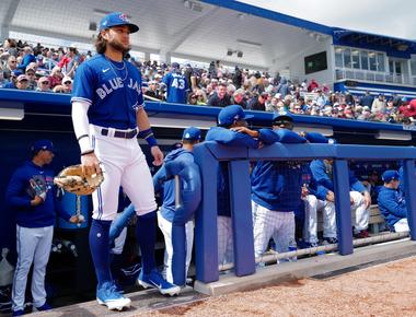 In baseball where do the blue jays come from toronto