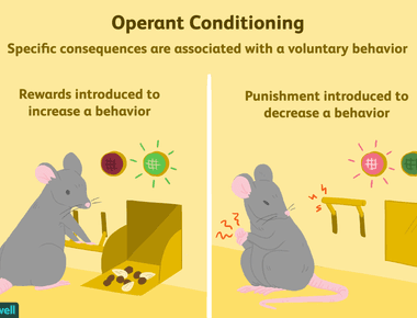 When humans and animals are conditioned to expect pain or discomfort without being able to escape they eventually stop trying to even if the opportunity presents itself