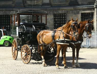 In scotland it is illegal to ride a cow horse carriage or steam engine while intoxicated