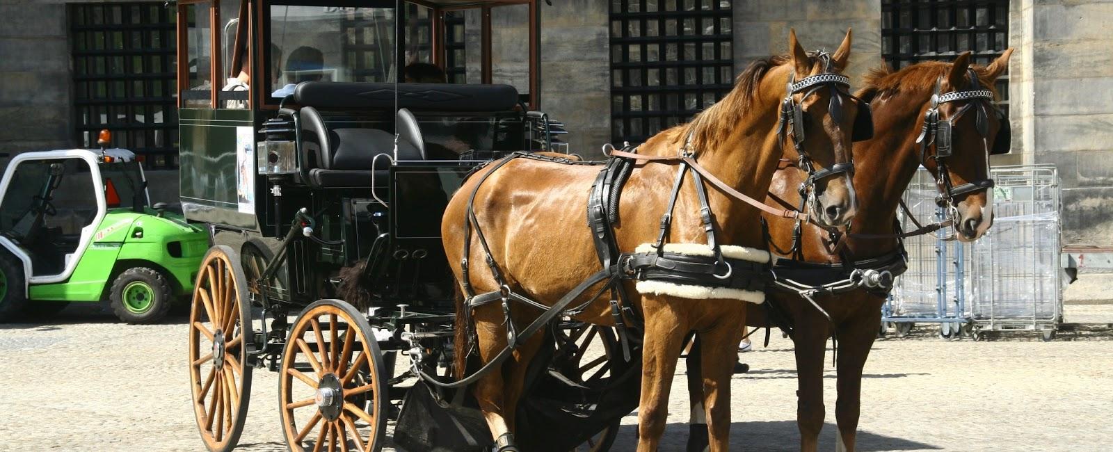 In scotland it is illegal to ride a cow horse carriage or steam engine while intoxicated