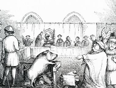 Animals were put on trial in medieval times and routinely sentenced to death